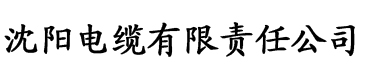 国产欧美一区二区日本加勒比电缆厂logo